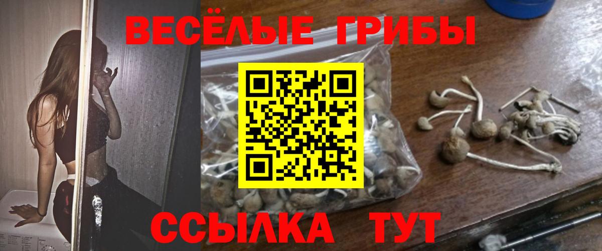 Галлюциногенные грибы GOLDEN TEACHER Изобильный