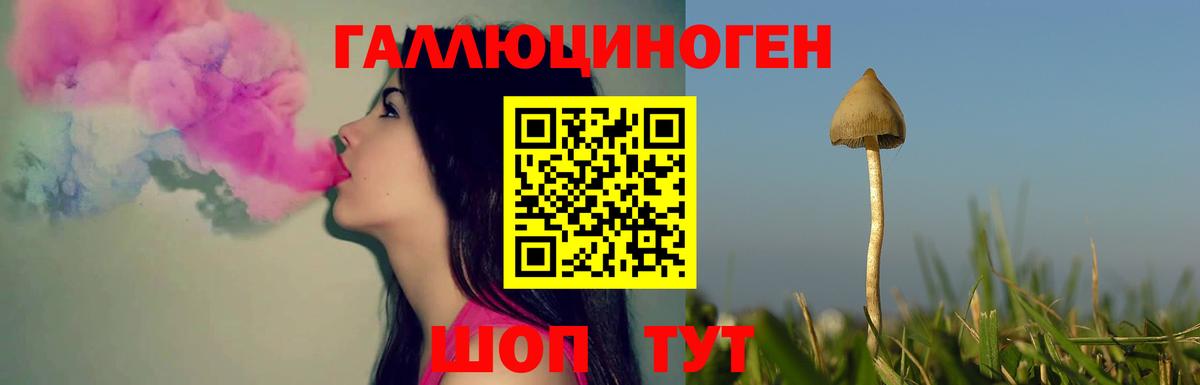 Изобильный  Псилоцибиновые грибы GOLDEN TEACHER  Вход с VPN 